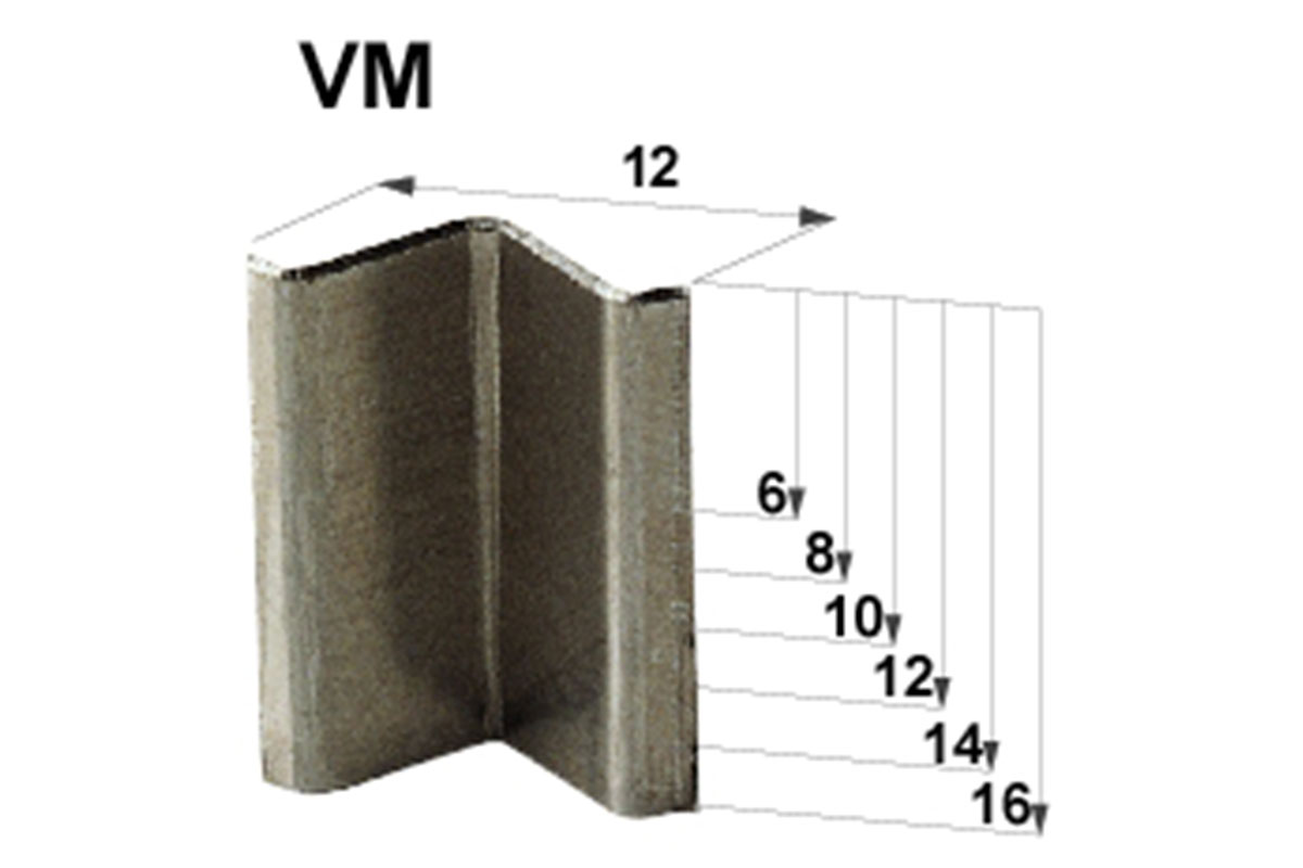 VM